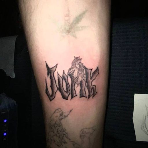 Тату на руке: надпись «JUNK» с силуэтом волка